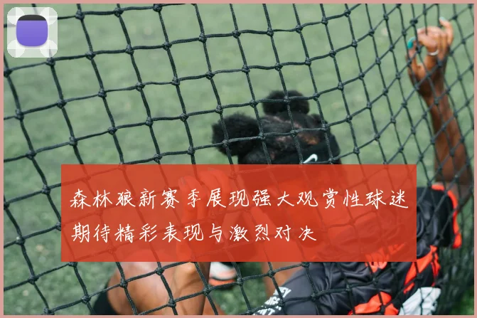 森林狼新赛季展现强大观赏性球迷期待精彩表现与激烈对决